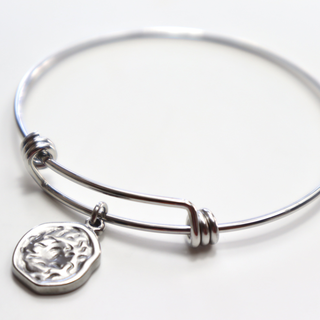 Shield Charm Bracelet