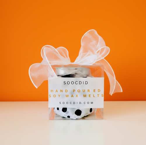 10 Disc Aromatherapy Wax Melt Gift Set